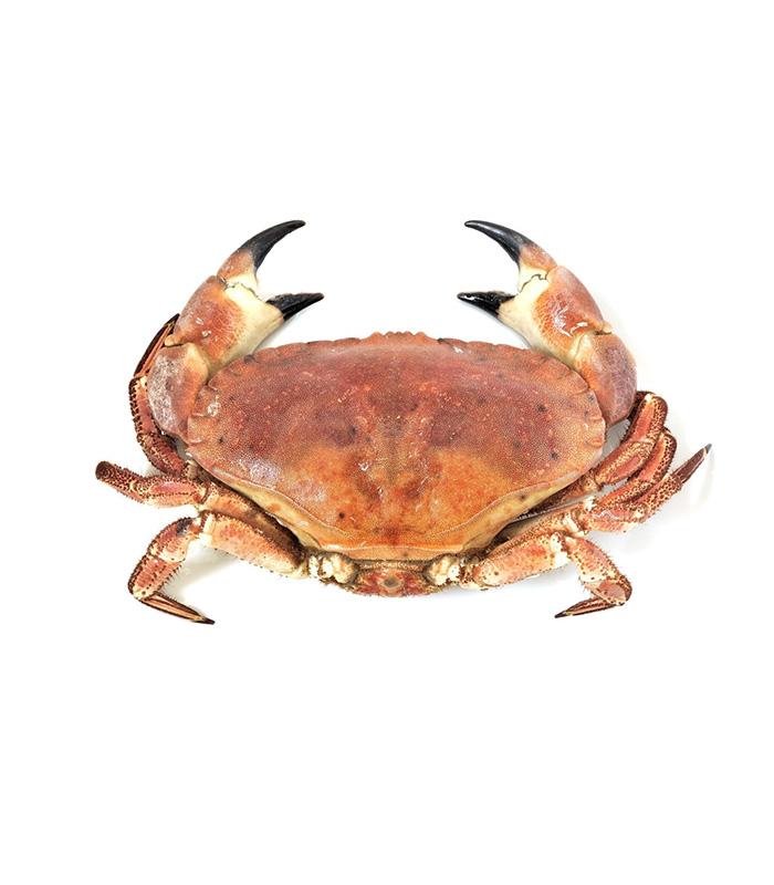 vg-sf-frshs-3.jpg Cornish Crab (Whole) - Imagem 1